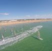 Slalom or Racing?