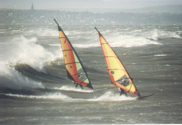 gal/Archive_Hayling/CNV00003.jpg